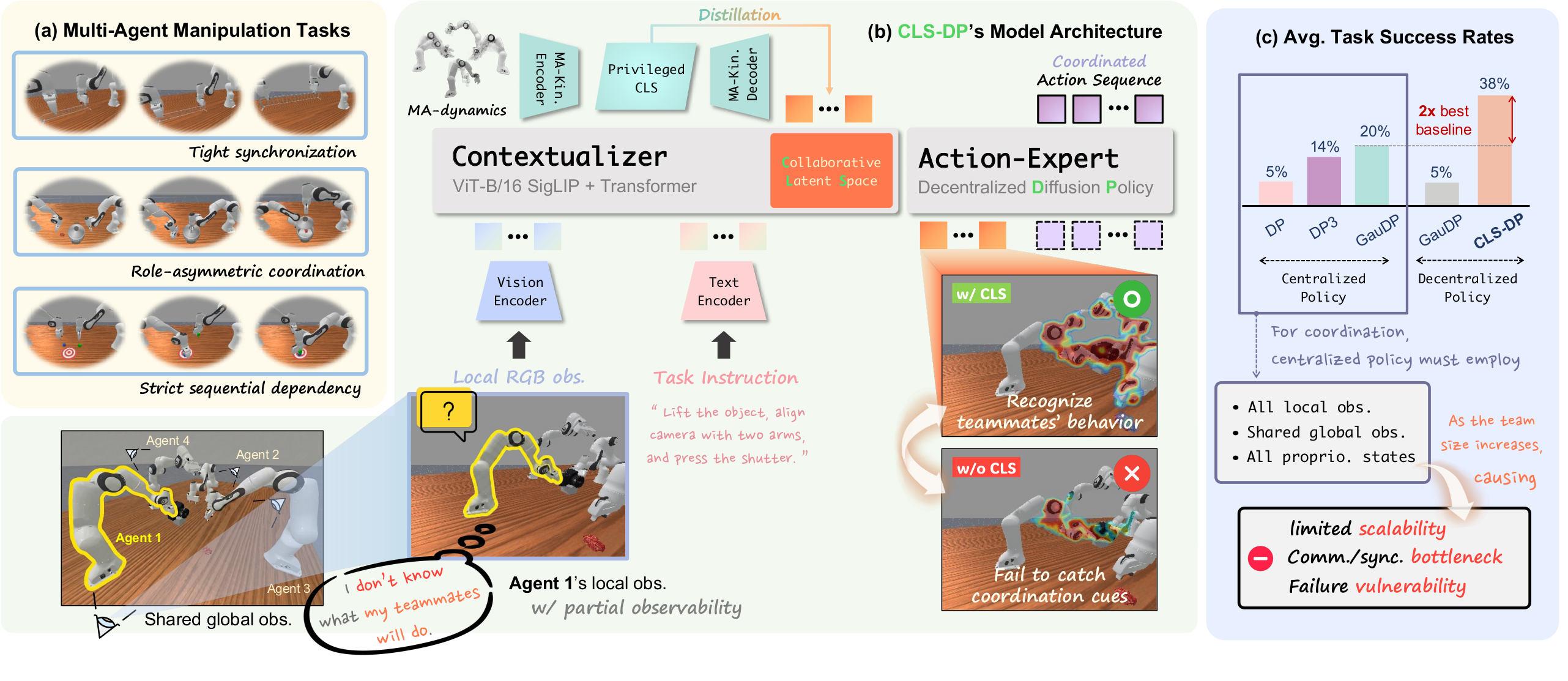 CLS-DP overview